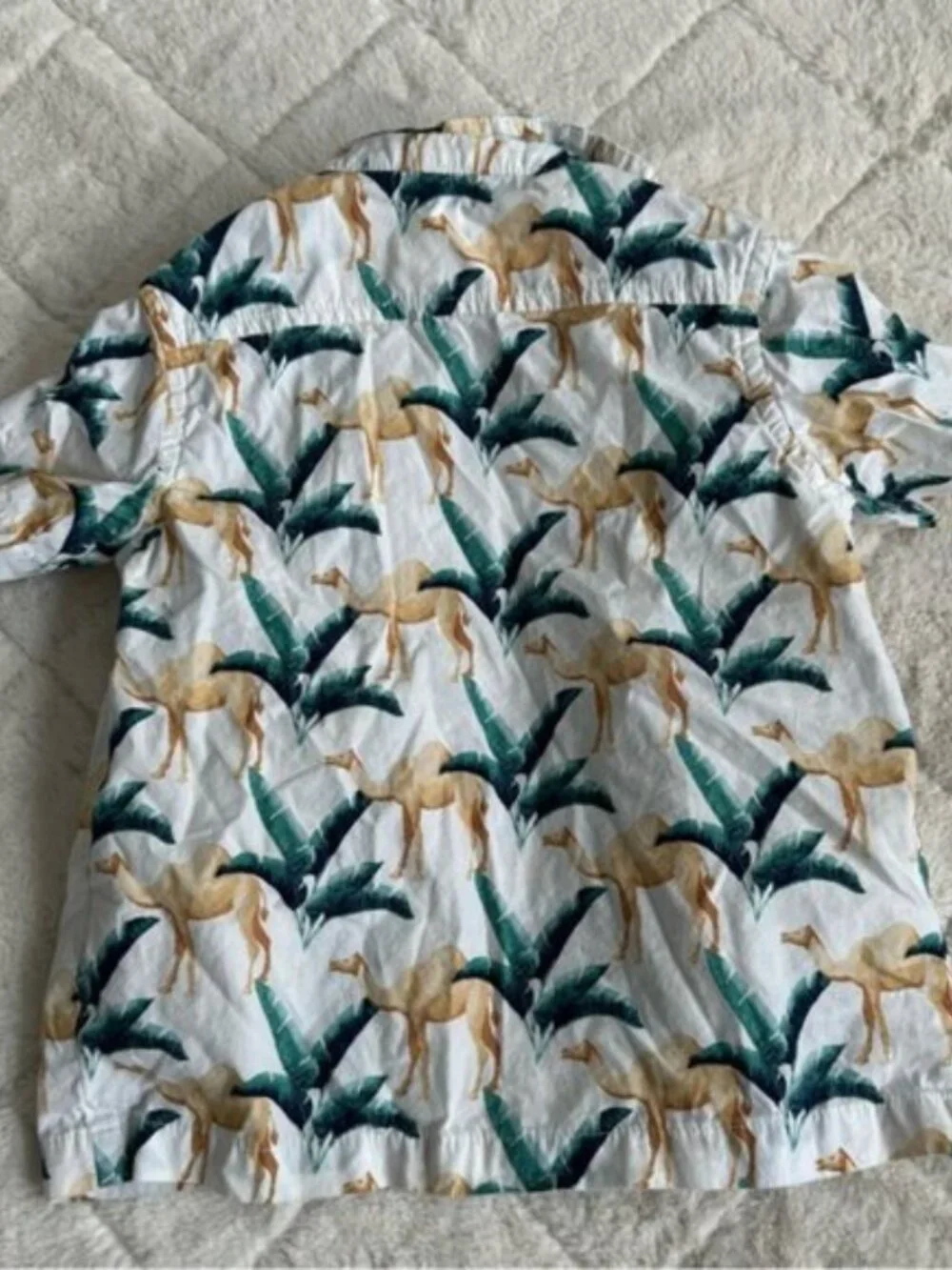 Janie & Jack | Boys Poplin Camel Print Shirt & Swim Trunks | Size 2T/18-24 Month